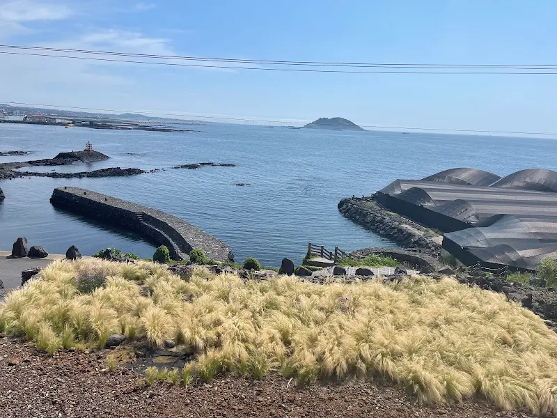 탁 트인 바다 풍경