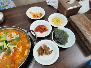 국화 향기 따라 찾아간 마산, 청송식당 김치찌개의 깊은 풍미가 있는 숨은 맛집 기행