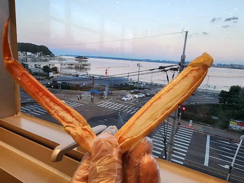 창밖으로 보이는 영일대 해변