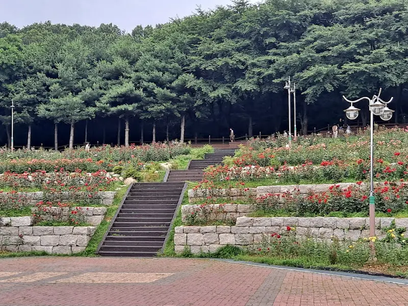 노적봉공원 장미원 전경