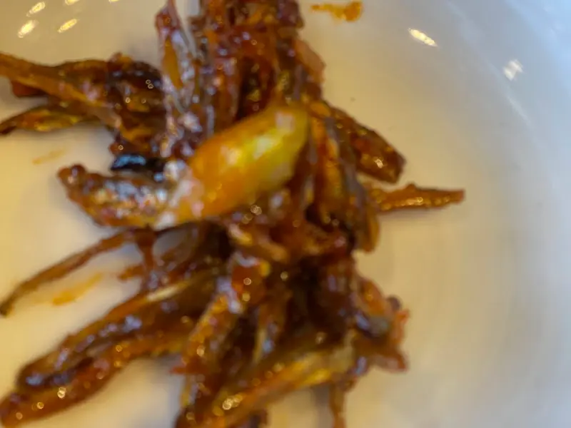 윤기가 좌르르 흐르는 멸치볶음