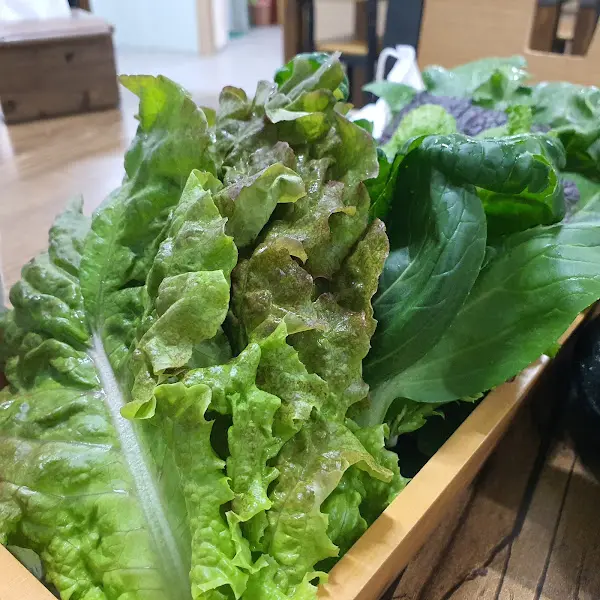 싱싱한 쌈 채소