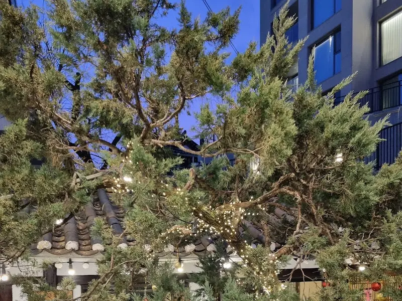 카페 외부 전경