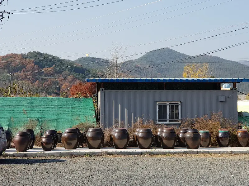 모메존 꽁보리밥 장독대