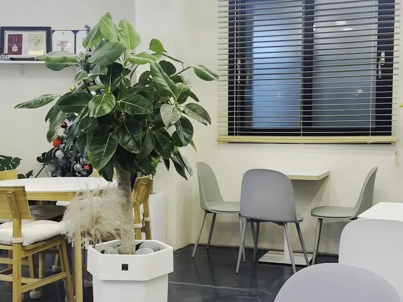 카페 내부 테이블