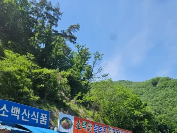 단양에서 만난 가성비 레전드! 소백산 동동주, 현지인만 아는 숨겨진 칼국수 맛집