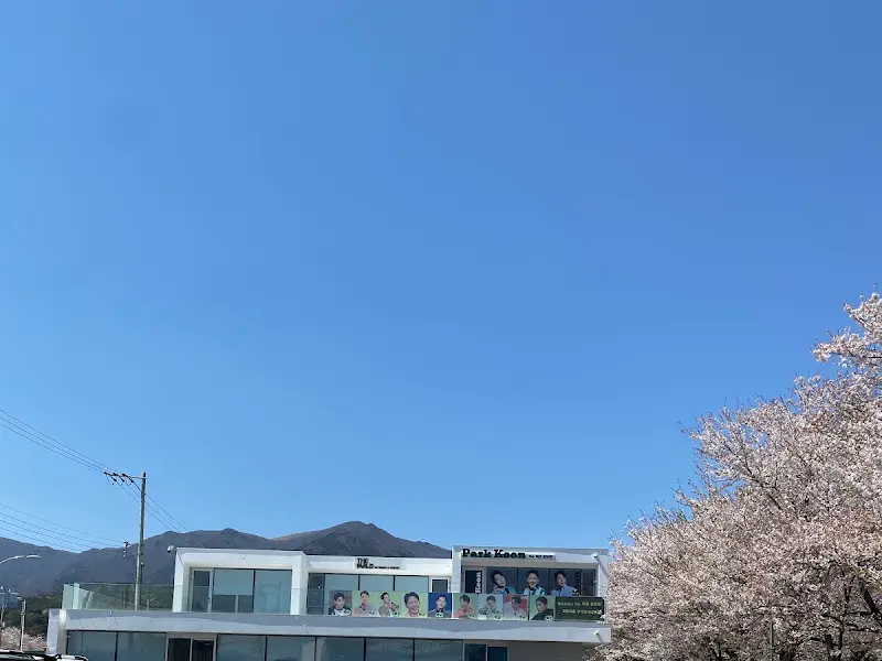 벚꽃이 져버린 벚꽃길