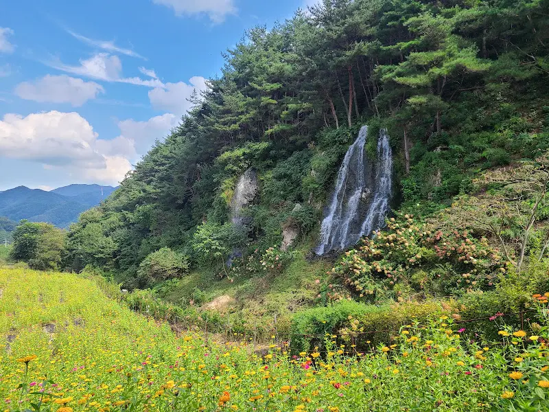 LOCA COFFEE 인공 폭포