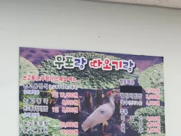 우포늪의 숨겨진 맛, 창녕 논고동의 과학적 재발견 맛집