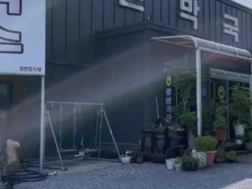 제천의 숨겨진 보석, 광천막국수에서 발견한 막국수 맛집의 깊은 풍미