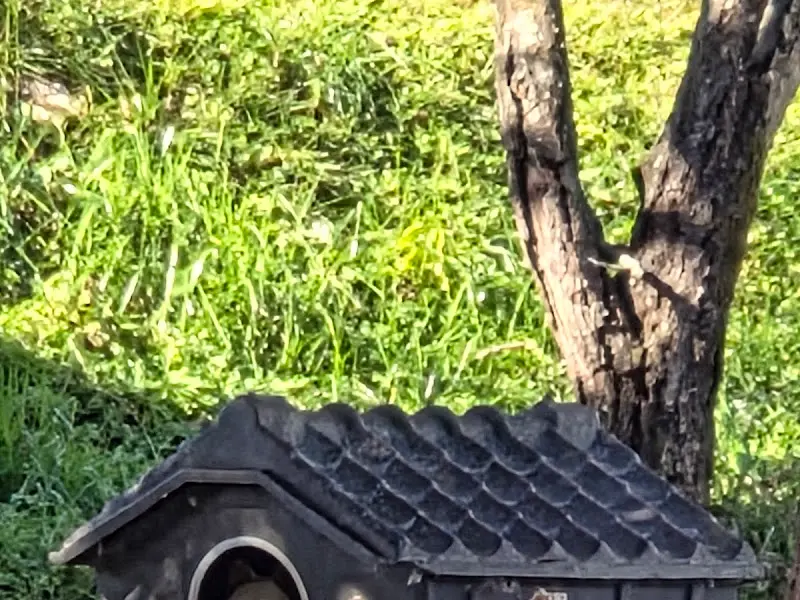 식당 외부 풍경