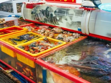 자갈치에서 만나는 푸짐한 인심, 남포동 신경북상회에서 맛보는 인생 해물 맛집