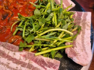 매콤한 유혹, 오목교 쭈꾸미 맛집 순례: 미식가의 시선으로 다시 쓰는 이야기