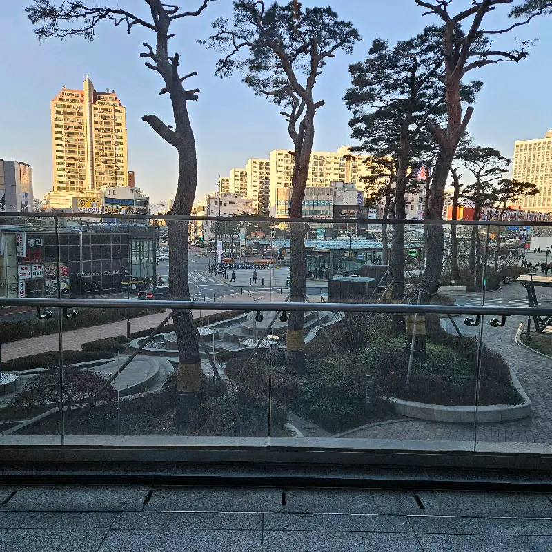 스타벅스에서 바라본 바깥 풍경