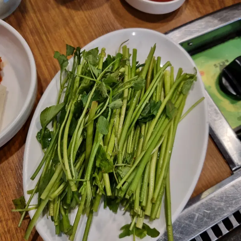 미나리 한 접시