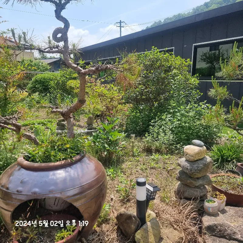 가게 앞에 꾸며진 아담한 정원