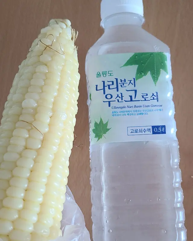 찰옥수수와 우산고로쇠