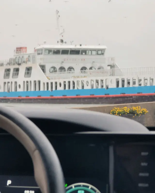 신도에서 배를 타고 나오는 길