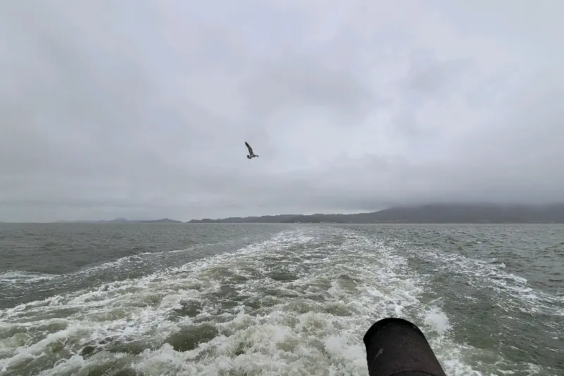 배가 지나간 자리에 남은 하얀 물결