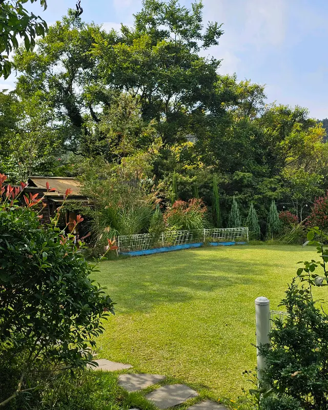 잘 가꿔진 정원의 모습