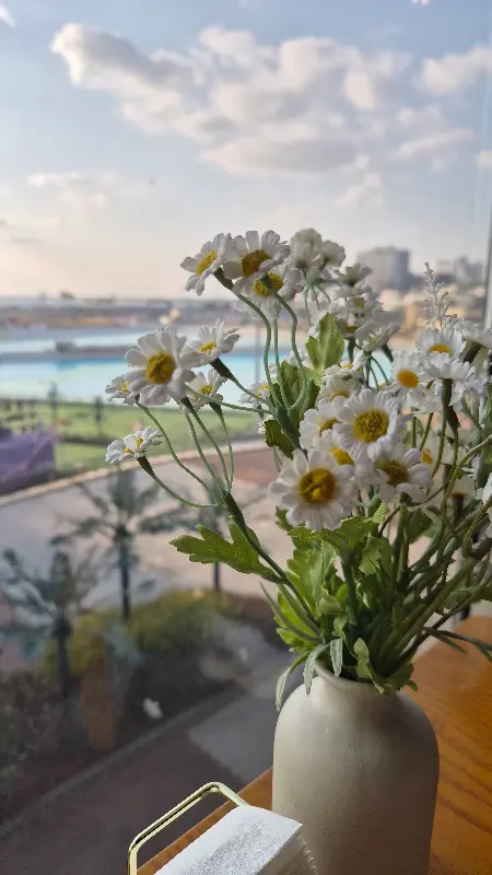 식당 창가에 놓인 꽃