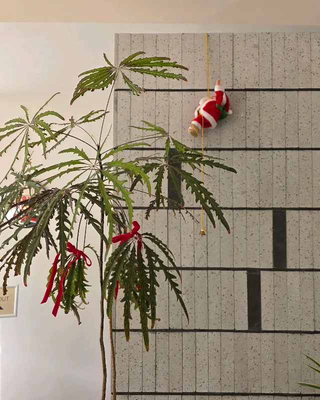 크리스마스 장식