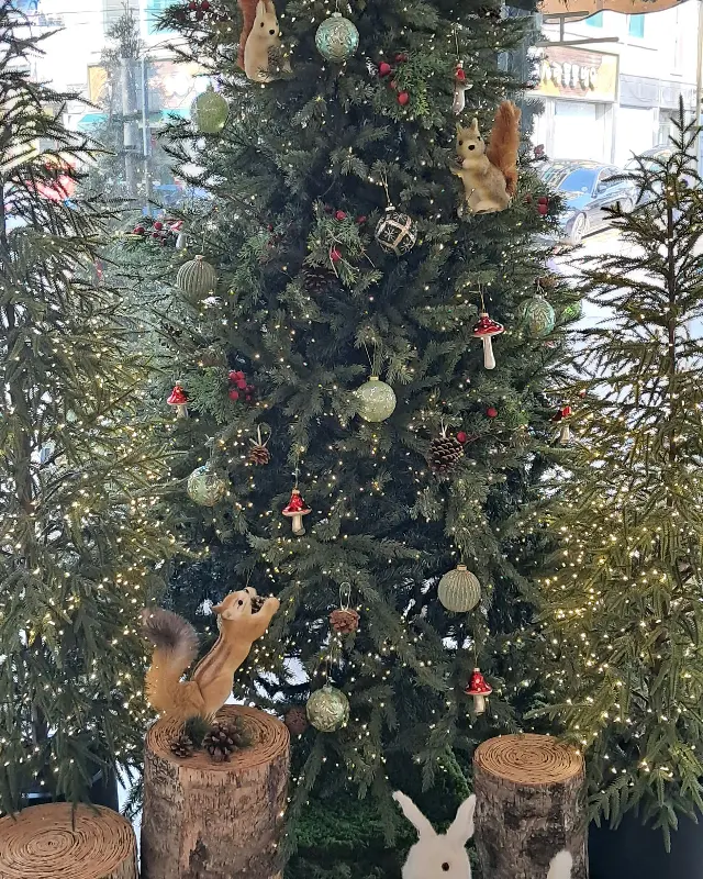 크리스마스 분위기가 물씬 풍기는 율콩이네 내부, 커다란 트리 장식이 인상적이다.