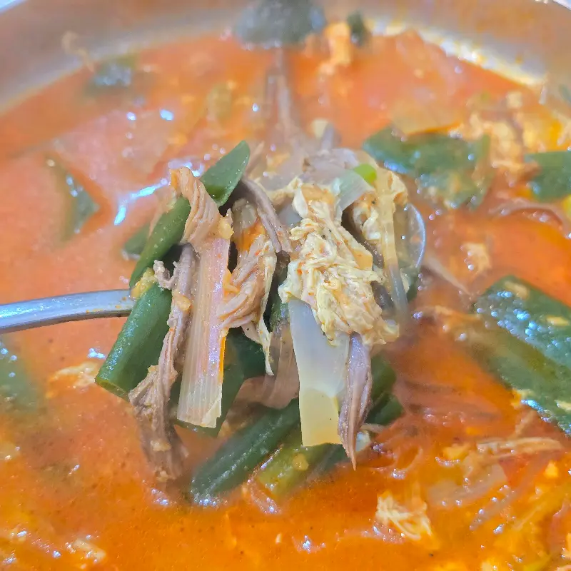 숟가락 위에 푸짐하게 담긴 육개장