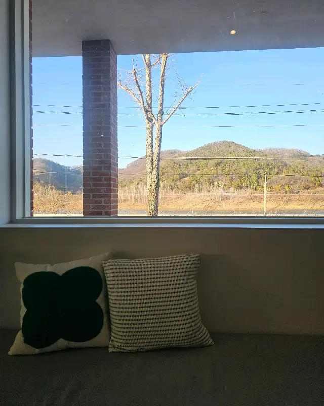 오후의 햇살이 들어오는 창가