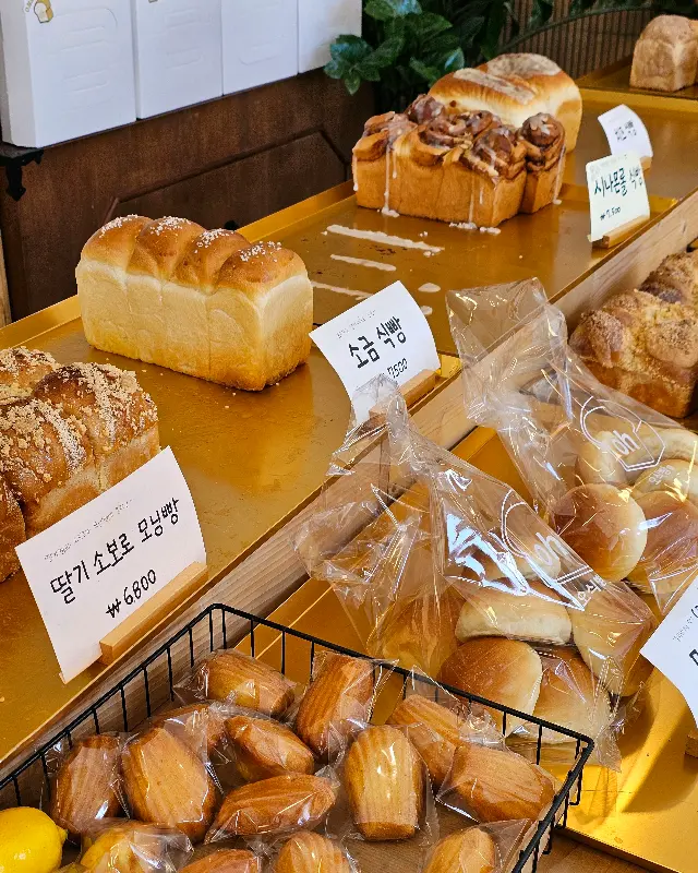 다양한 종류의 빵들이 진열된 모습
