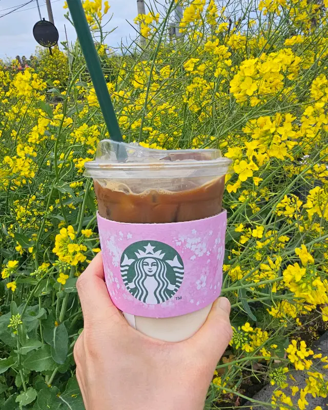 쑥떡 프라푸치노