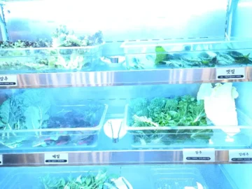 숯불 향에 홀려 찾아간, 하계동에서 만난 인생 돼지 불고기 맛집