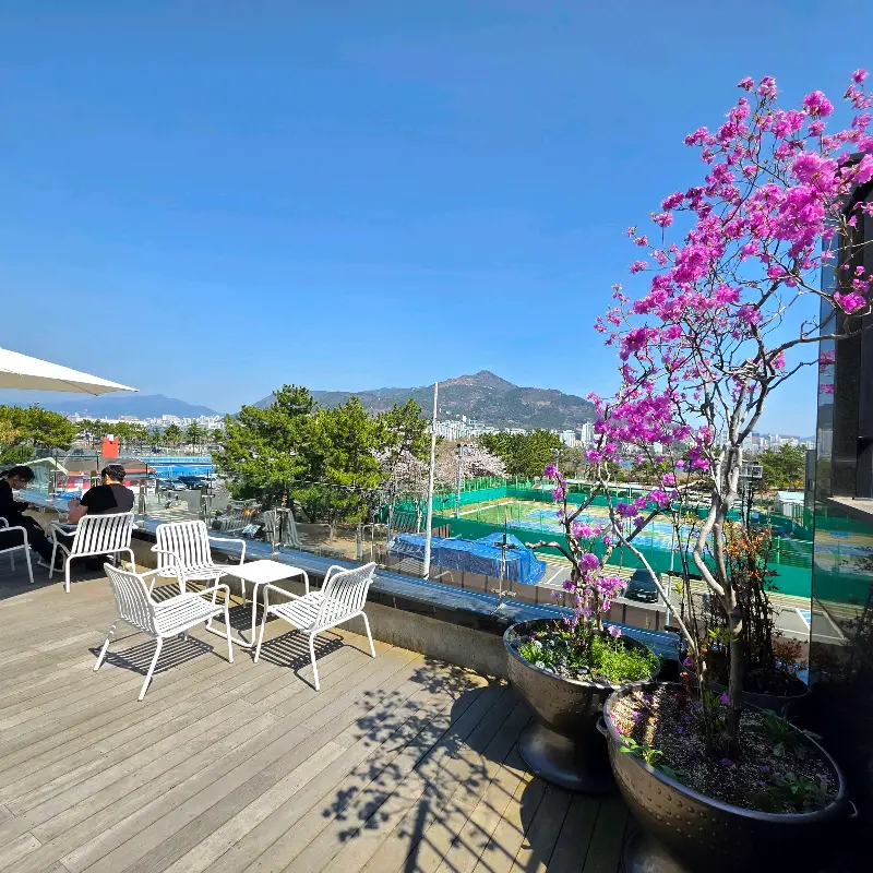 루프탑 전경