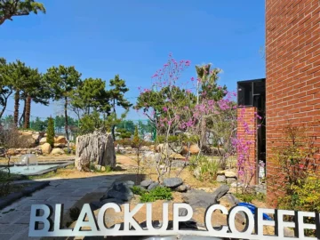 낙동강 뷰 맛집, 을숙도에서 만나는 커피향 가득한 힐링 카페 나들이