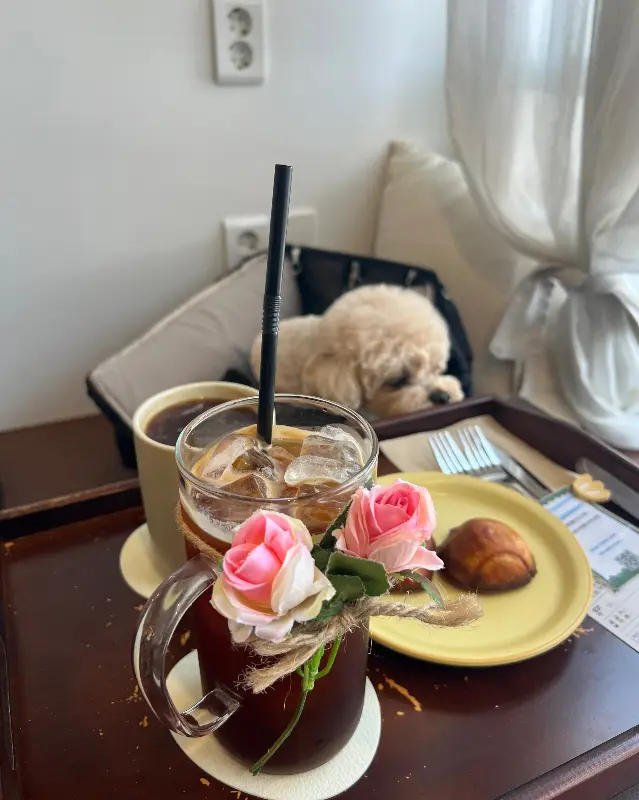 강아지 토리와 함께