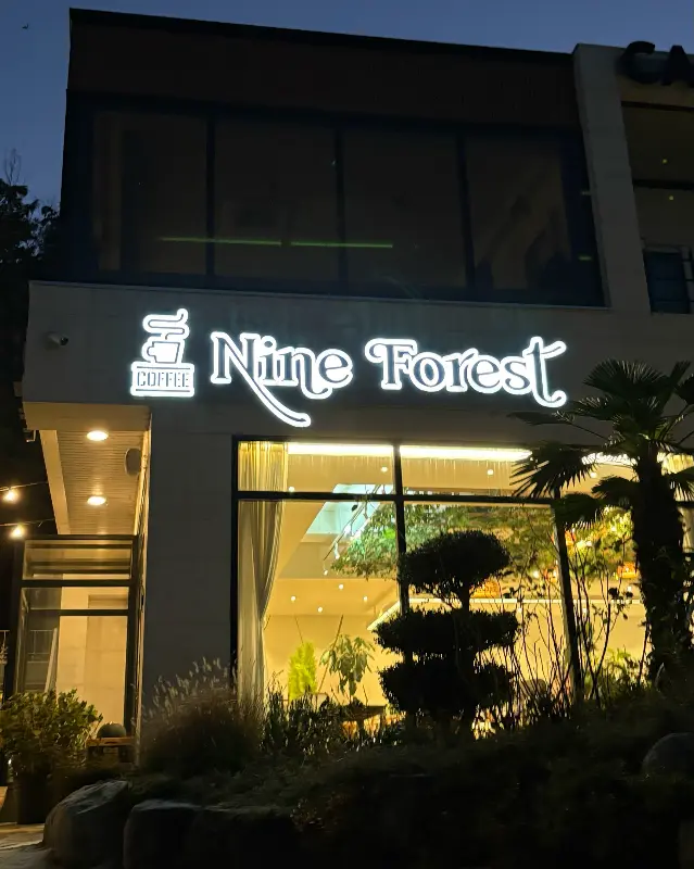 나인포레스트 야경