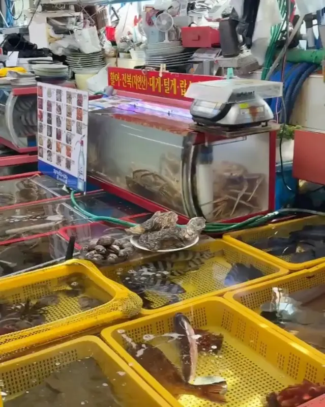 싱싱한 해산물이 가득한 수조