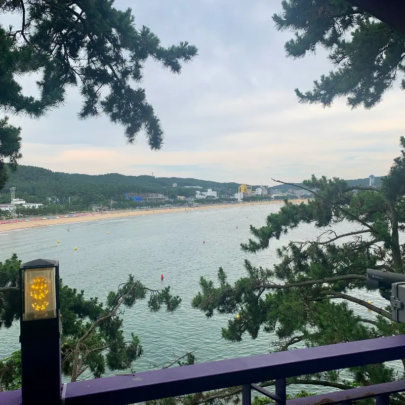 썬셋클리프에서 바라본 만리포 해수욕장