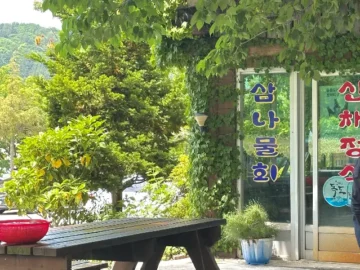 나물 향 가득한 울릉도 나리분지 밥상, 잊지 못할 추억의 맛집 여행