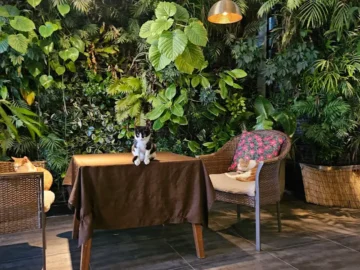 용인 외곽 숨겨진 식물원: 비밀의 정원같은 힐링 공간, 여기가 진짜 맛집!