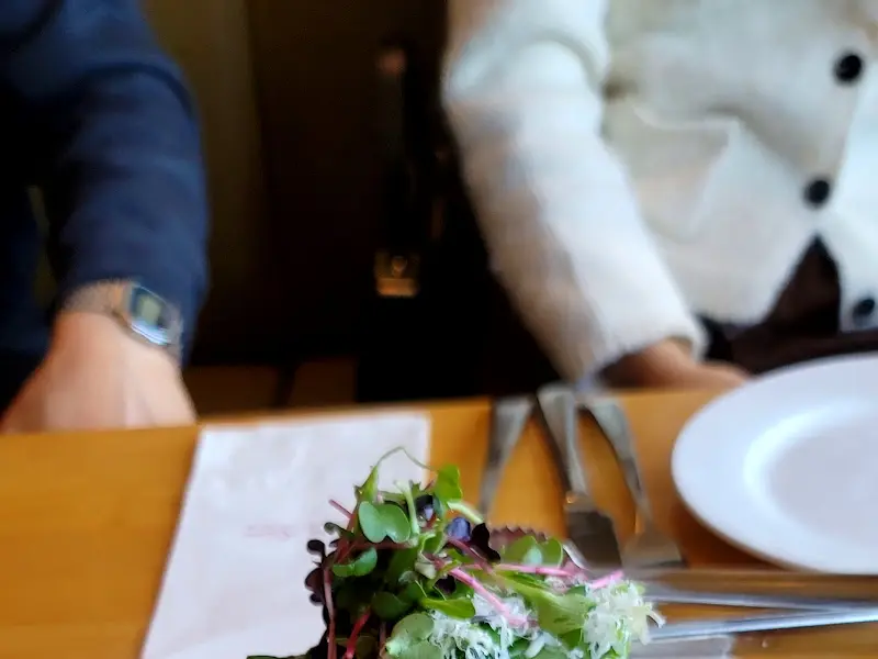 샐러드가 담겨 있는 접시