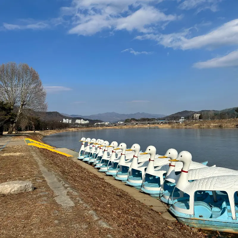 오리배 선착장 풍경