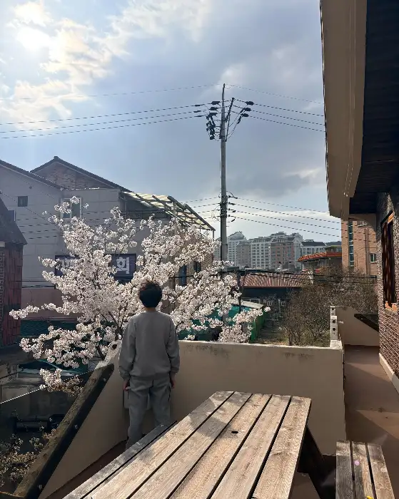 실내 공간의 창문과 외부 풍경