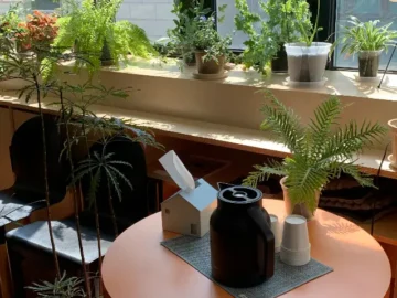 나만을 위한 상큼한 휴식, 대전 은행동 “Kiiiko”에서 맛보는 오렌지 아메리카노의 특별한 기억 (대전맛집)