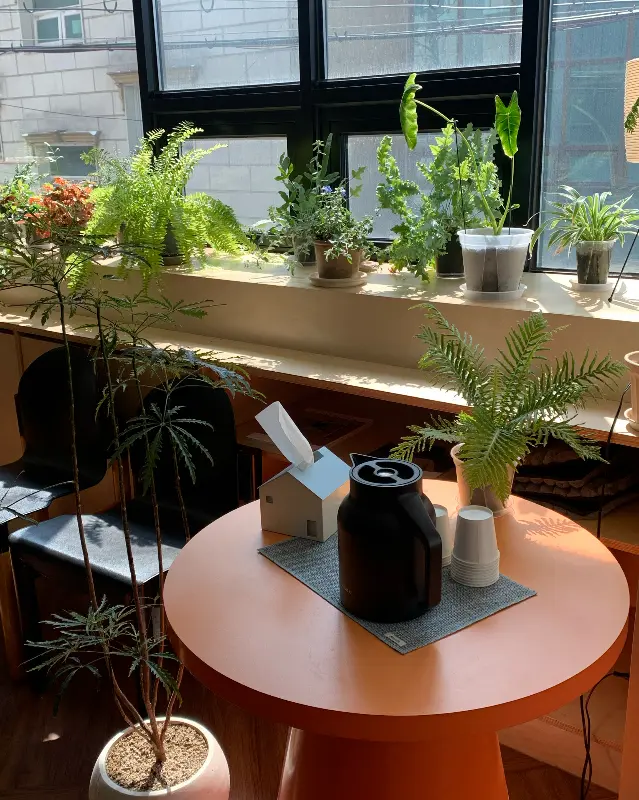 창가 좌석과 식물 인테리어