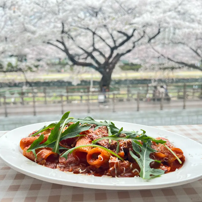 벚꽃이 보이는 창가 좌석에 놓인 파스타