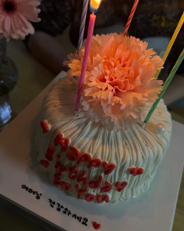 카네이션이 장식된 케이크