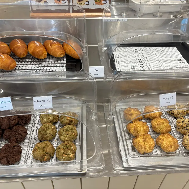 다양한 빵 종류