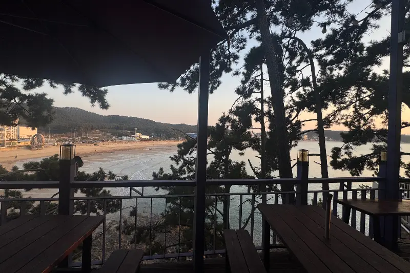 테라스에서 바라보는 만리포 해변