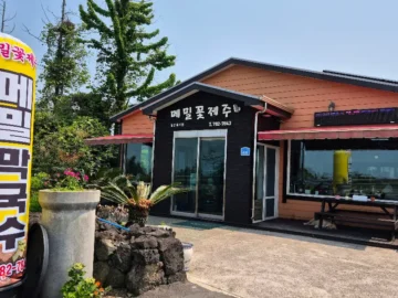 와흘의 숨은 보석, 메밀꽃제주에서 맛보는 향토적인 막국수 맛집 기행